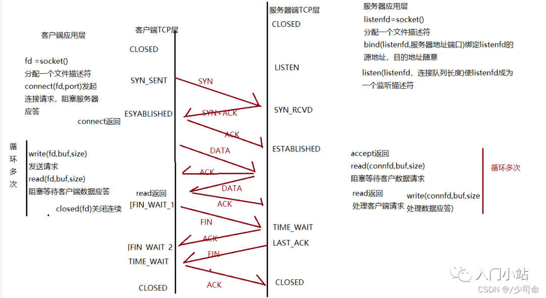 sockettcp多客户端socket协议和tcp协议的区别