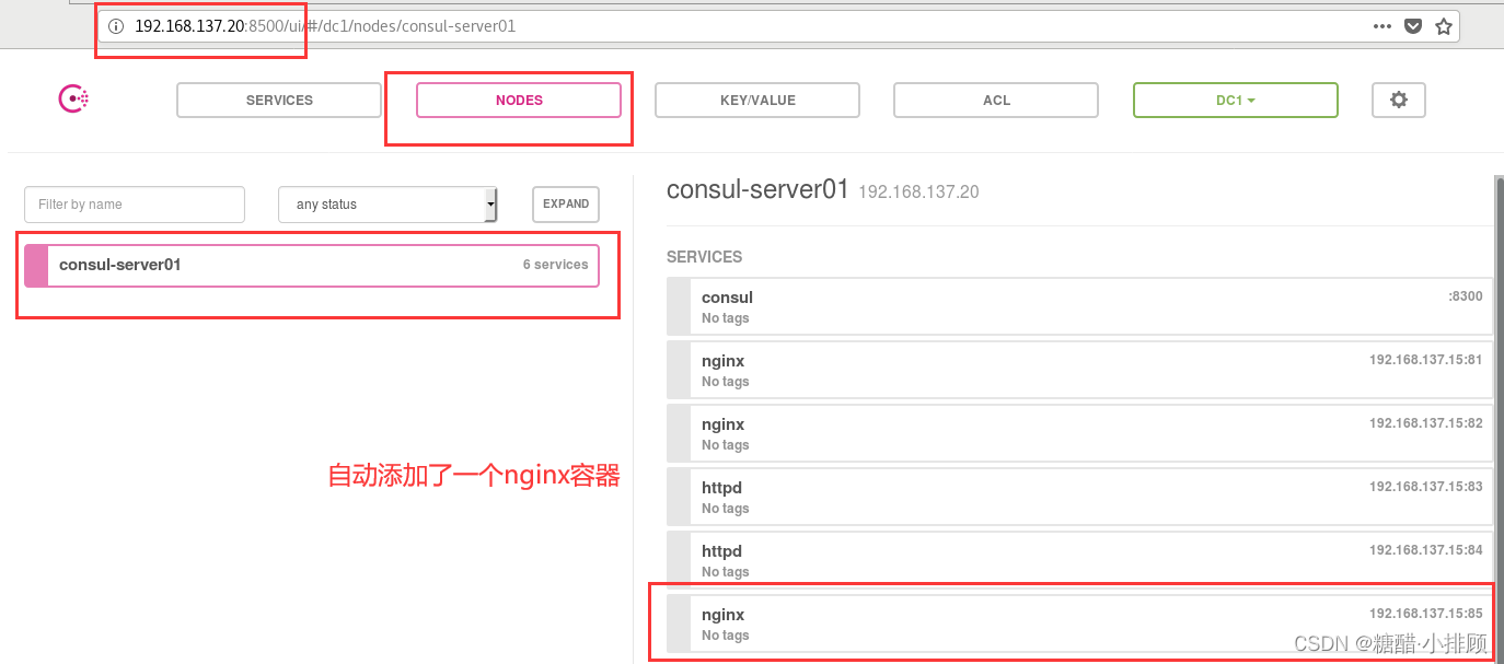 consulgo客户端ucloud云服务器官网